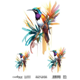 Cadence Birdsong Textieltransfer 25x35 cm Tropische vogel