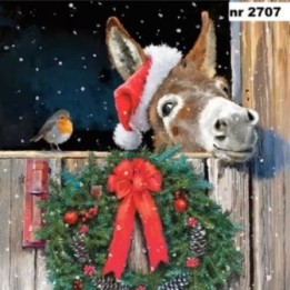 Friends with Donkey servet 33x33cm