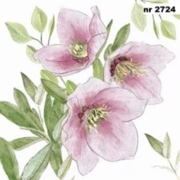 Classic Helleborus servet 33x33cm
