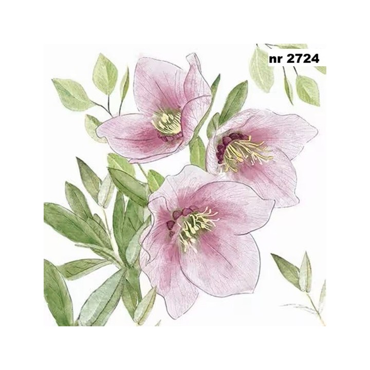 Classic Helleborus servet 33x33cm
