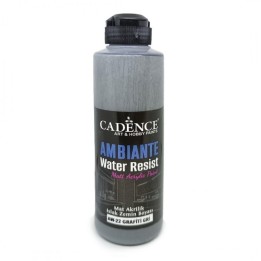 Cadence ambiante waterbestendige matt acrylverf 250ml anthracite black + 10 gr catalyst