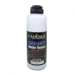 Cadence ambiante waterbestendige matt acrylverf 250ml slate gray + 10 gr catalyst