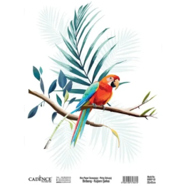Cadence birdsong rijstpapier 30x42 cm papagaai