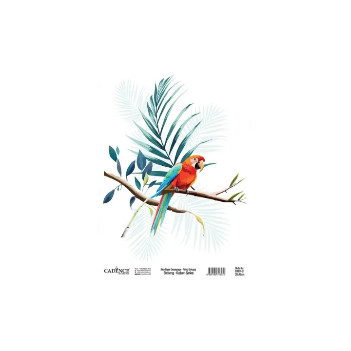 Cadence birdsong rijstpapier 30x42 cm papagaai