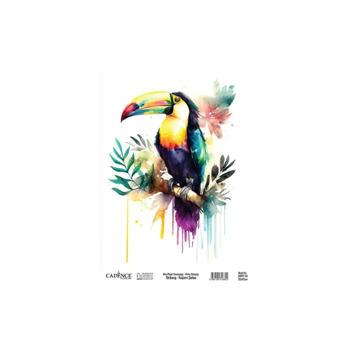 Cadence birdsong rijstpapier 30x42 cm toekan