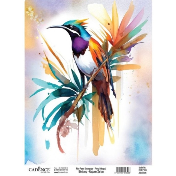 Cadence birdsong rijstpapier 30x42 cm tropische vogel