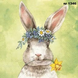 Easterfriends Bunny green servet 33x33cm