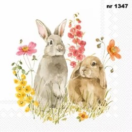 Hop on Spring servet 33x33cm