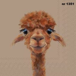 Alpaca Fernando servet 33x33cm