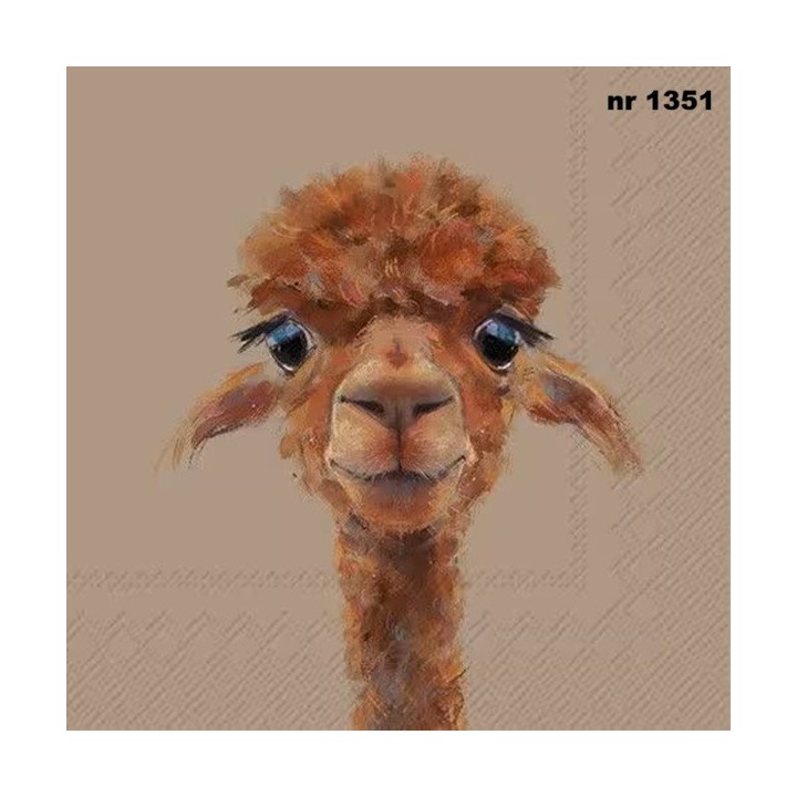 Alpaca Fernando servet 33x33cm