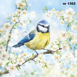 Blossom Time servet 33x33cm