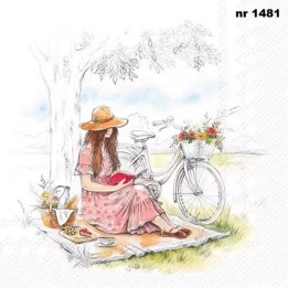 Picnic servet 33x33cm