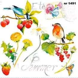 Summer Birds servet 33x33cm