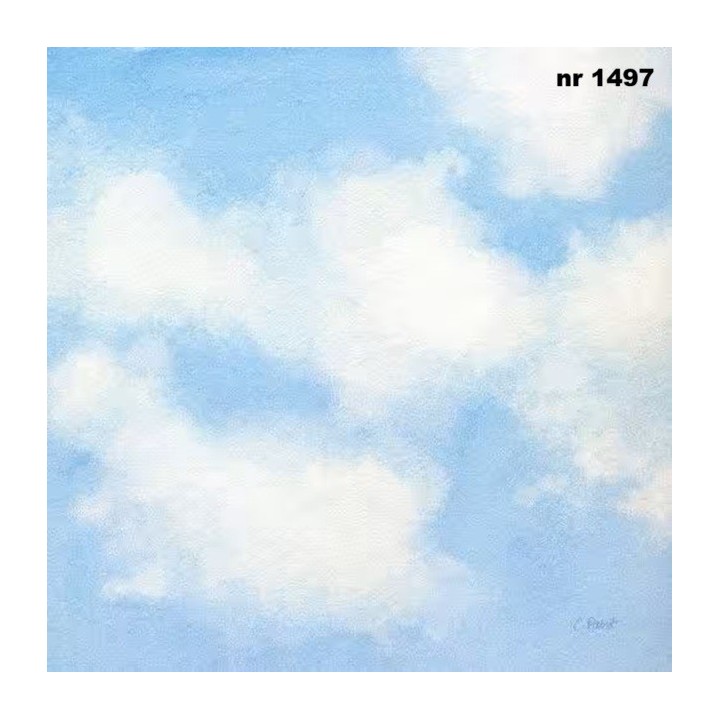 Sky servet 33x33cm