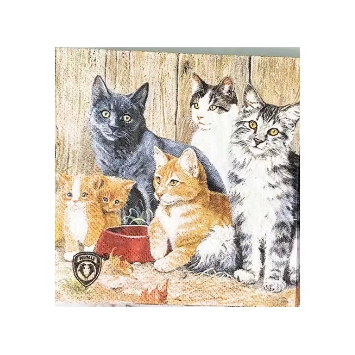 Cats servet 25x25cm
