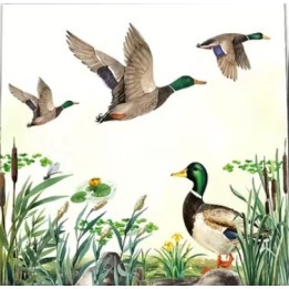 Flying ducks servet 33x33cm