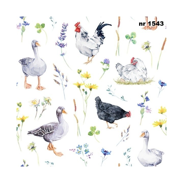 Poultry servet 33x33cm