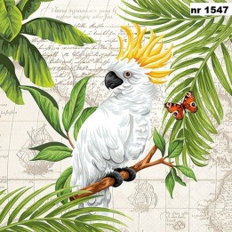 Cockatoo servet 33x33cm