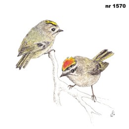 Roitelets servet 33x33cm