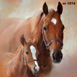 Horse with foal servet 33x33cm