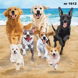 Release the Hounds servet 33x33cm