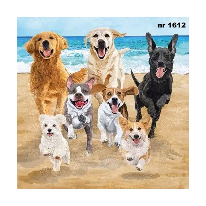 Release the Hounds servet 33x33cm