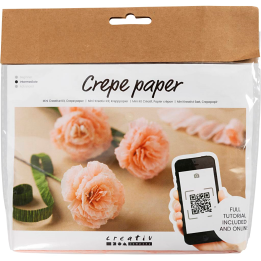 CC Creatieve Mini Hobbyset crêpepapier bloemen anjers