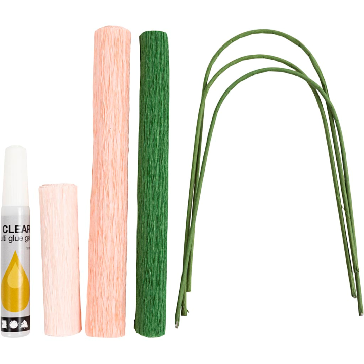 CC Creatieve Mini Hobbyset crêpepapier bloemen anjers