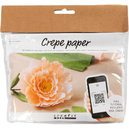 CC Creatieve Mini Hobbyset crêpepapier bloemen pioenroos