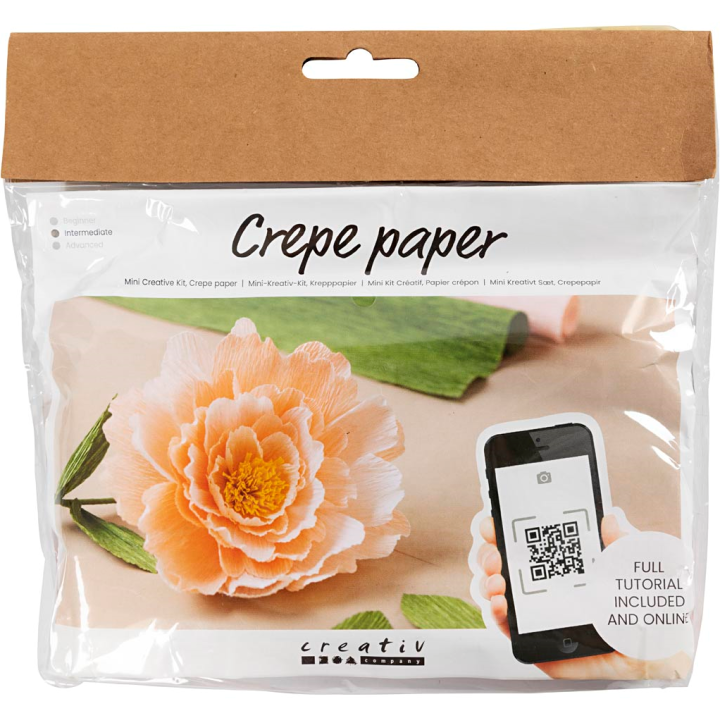 CC Creatieve Mini Hobbyset crêpepapier bloemen pioenroos