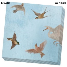 Birds