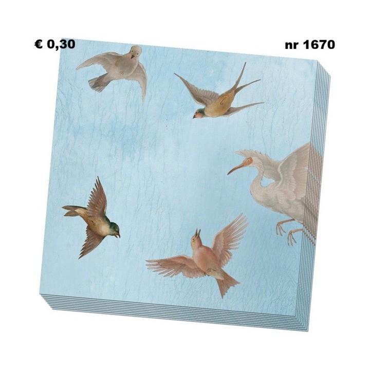 Birds