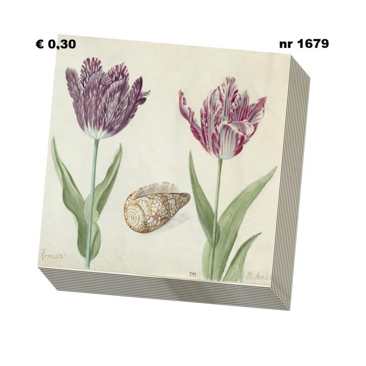 Tulips