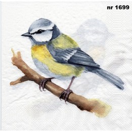 Pimpelmees servet 33x33cm