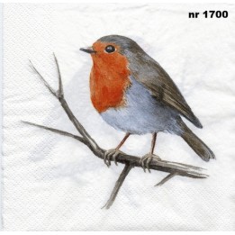 Roodborst servet 33x33cm