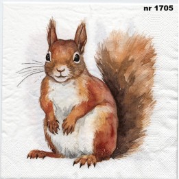 Eekhoorn servet 33x33cm