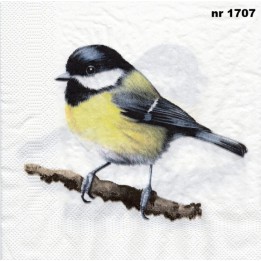 Koolmees servet 33x33cm