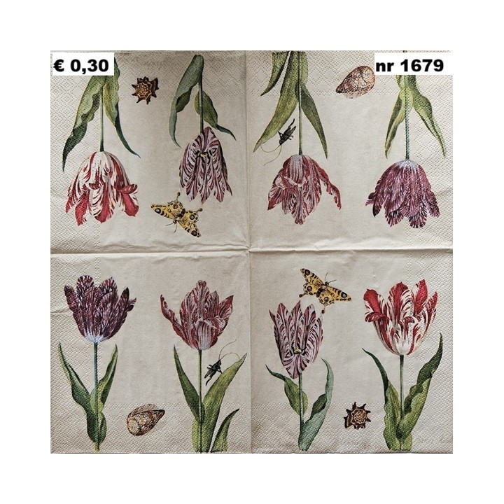 Tulips, Jacob Marrel, Collection Rijksmuseum Amsterdam servet 33x33cm
