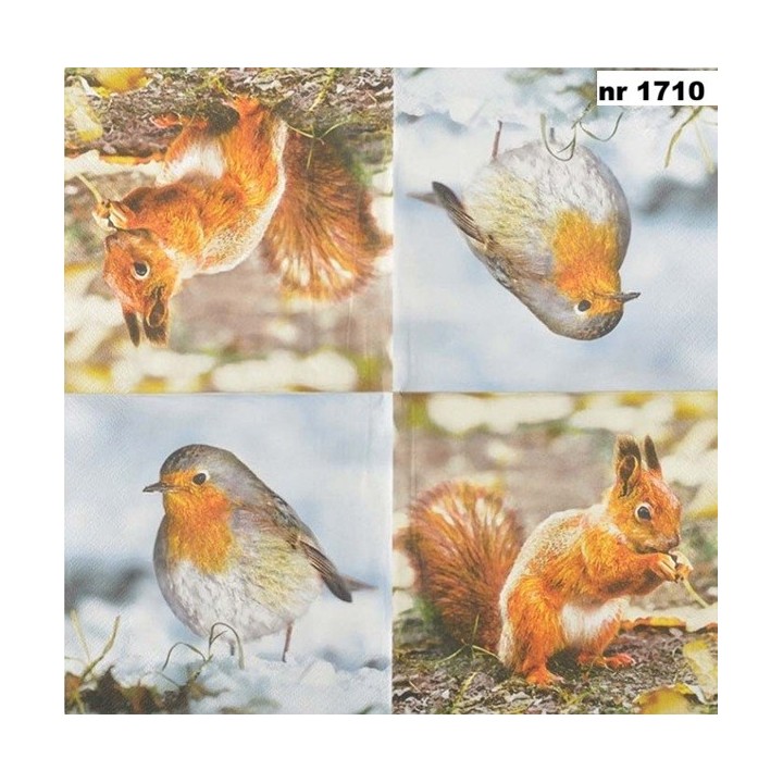 Roodborst/eekhoorn servet 33x33cm