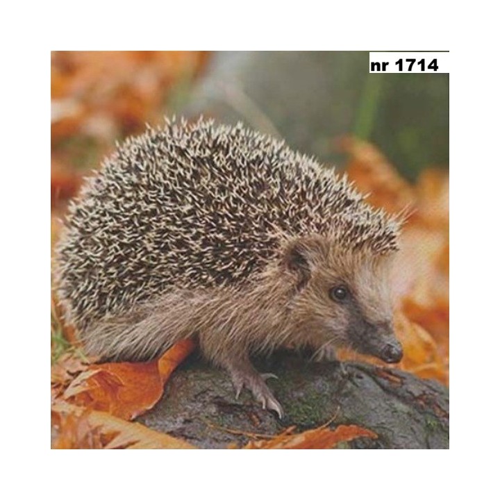 Egel servet 33x33cm