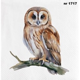 Uil servet 33x33cm
