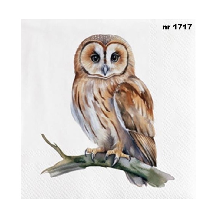 Uil servet 33x33cm