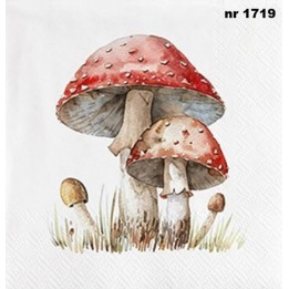 Vliegenzwam servet 33x33cm