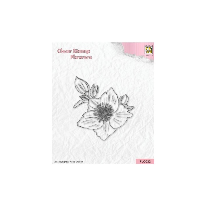 NC Flower clear stempel Helleborus