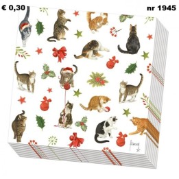 Franciens katten