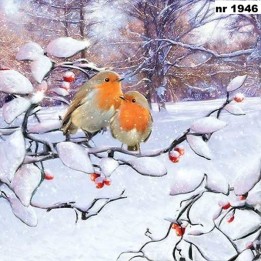 Robin on branch servet 33x33cm