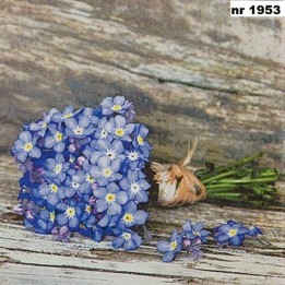 Forget-me-not servet 33x33cm