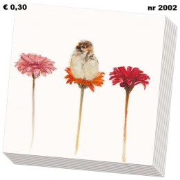 Hallo kleintje