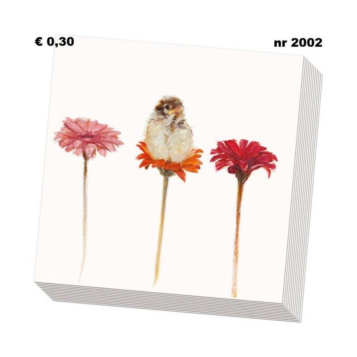 Hallo kleintje