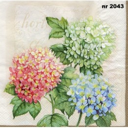 Hydrangea servet 33x33cm